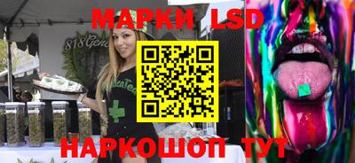 mdpv Гатчина