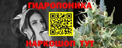 кокс Гай