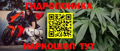 mdpv Гатчина
