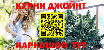 mdpv Гатчина