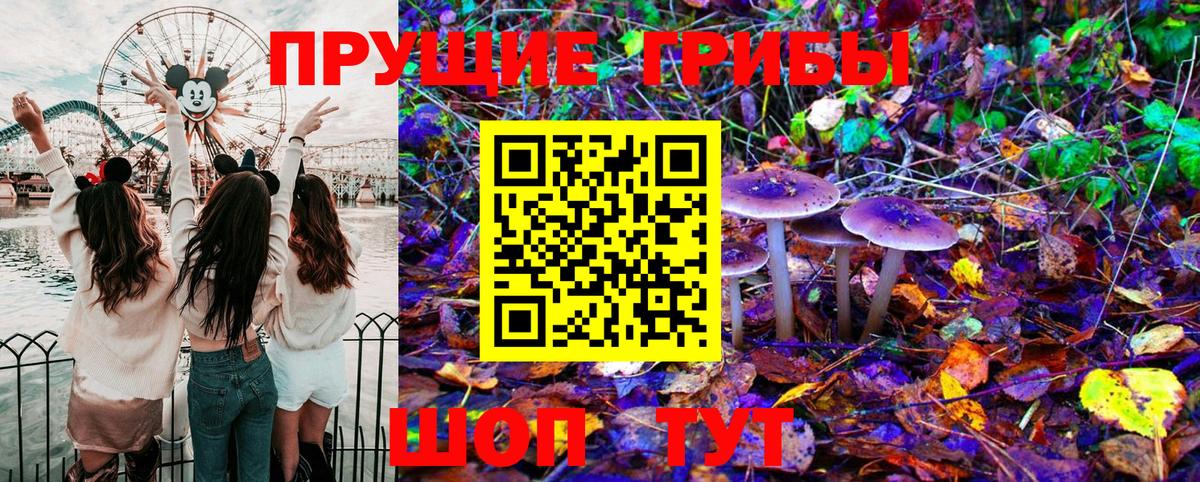Псилоцибиновые грибы MAGIC MUSHROOMS  Вход с VPN  Буйнакск  Галлюциногенные грибы мухоморы 